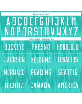 Best Pro Custom Aqua White Sublimation Soccer Uniform Jersey